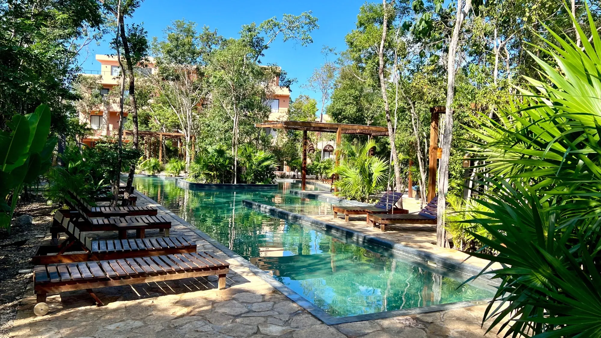 Alberca rodeada de palmeras en un desarrollo hotelero