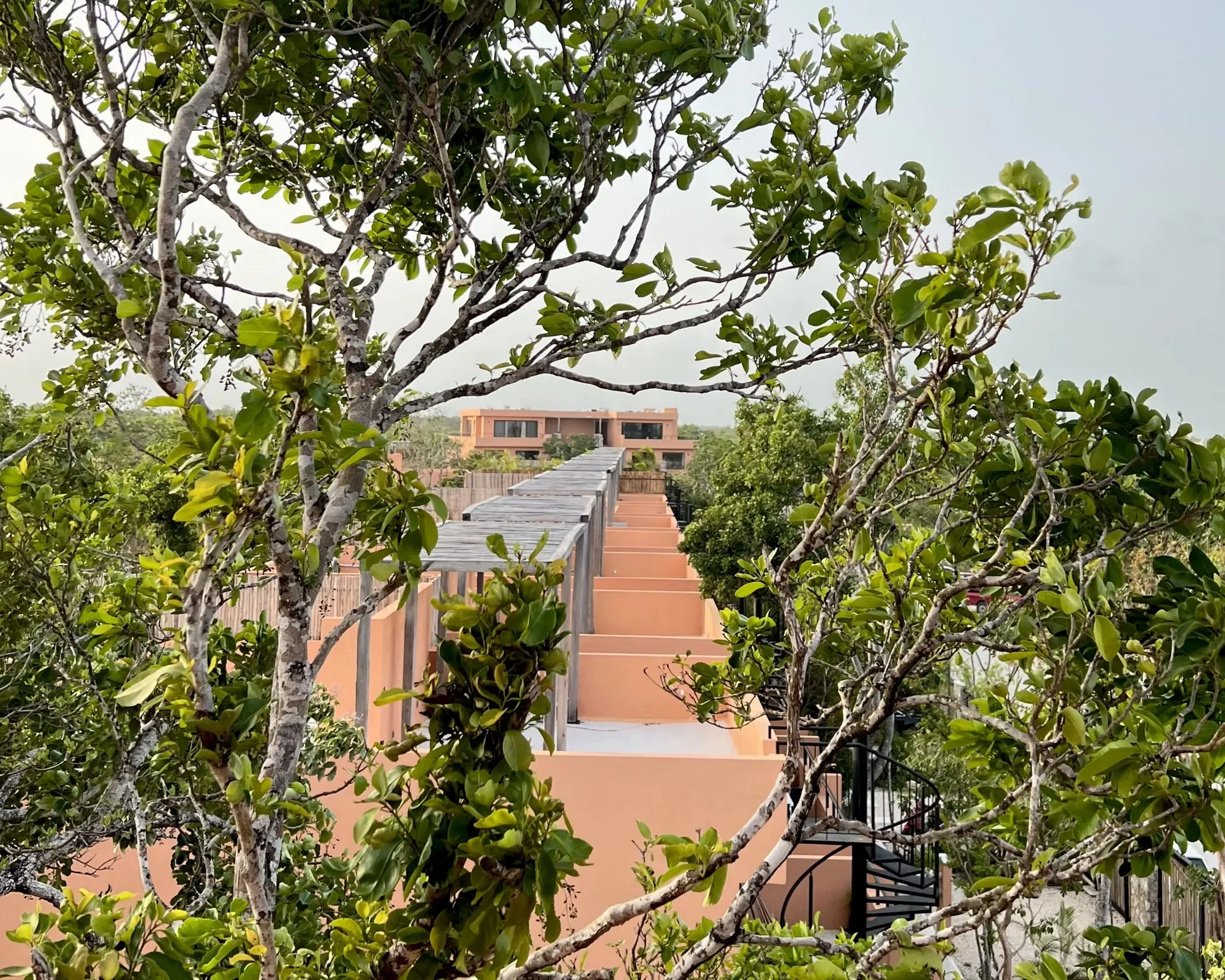 Fachada de desarrollo residencial rodeada de vegetación